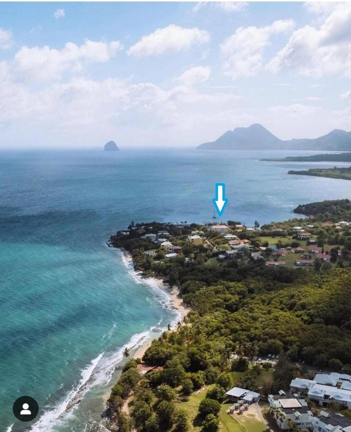 Appartement A Anse Mabouya En Rez De Jardin Avec Piscine A Proximite Des Plages Sainte-Luce Zewnętrze zdjęcie