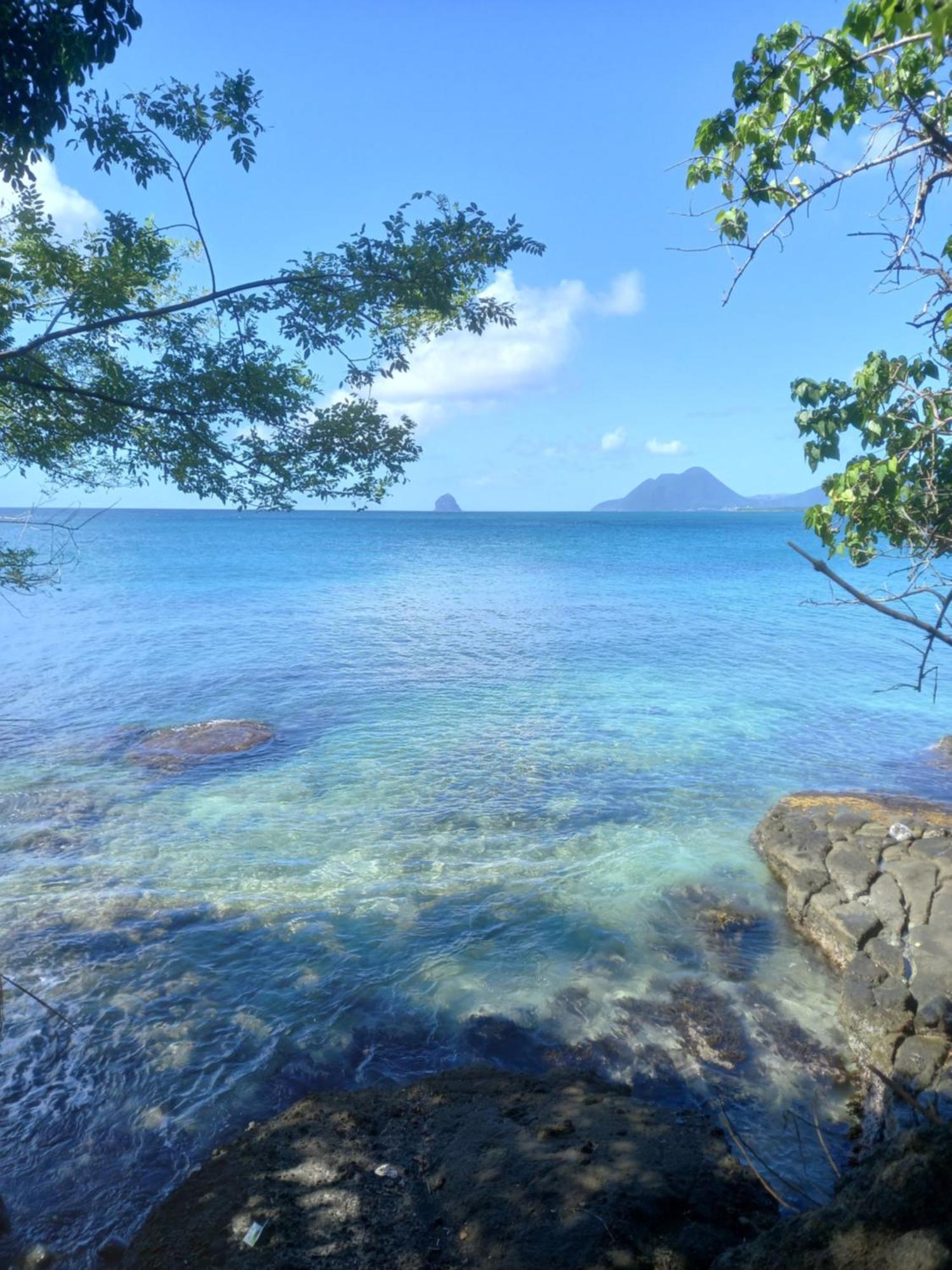 Appartement A Anse Mabouya En Rez De Jardin Avec Piscine A Proximite Des Plages Sainte-Luce Zewnętrze zdjęcie